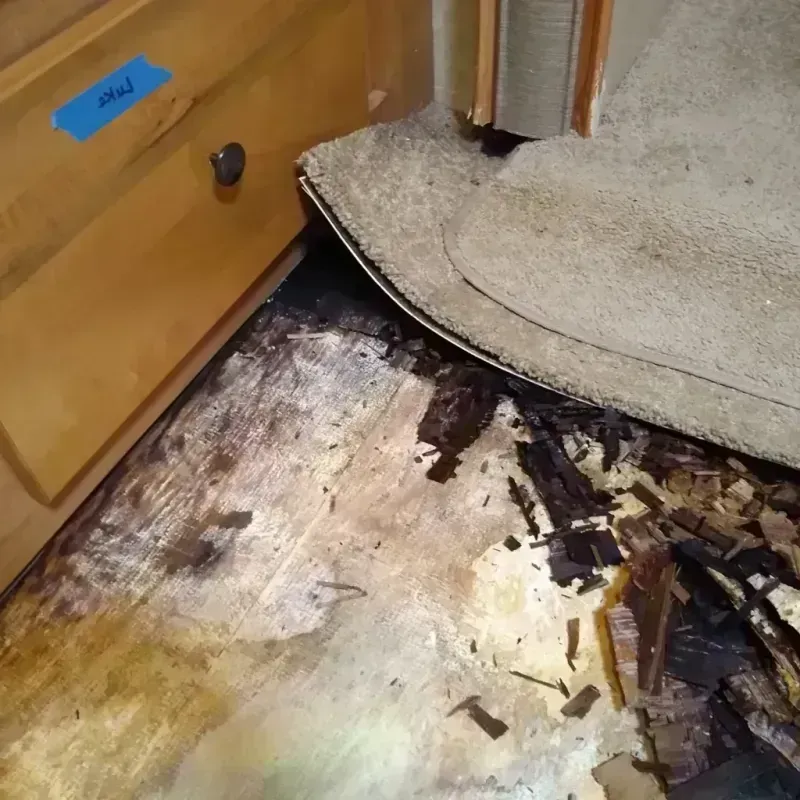 Wood Floor Water Damage in Berwyn, IL